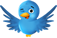 Twit